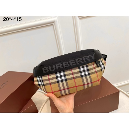 Burberry AAA Quality Belt Bags For Unisex #1101051
