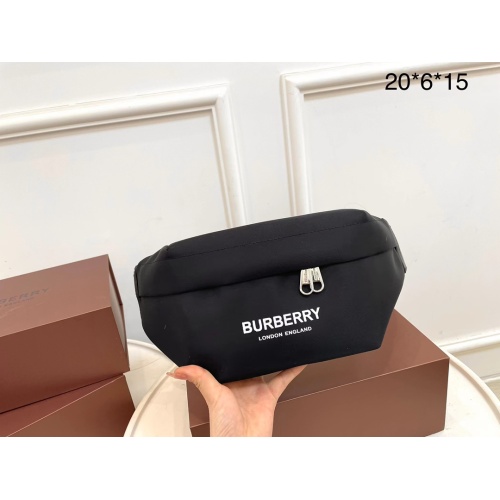 Burberry AAA Quality Belt Bags For Unisex #1101053