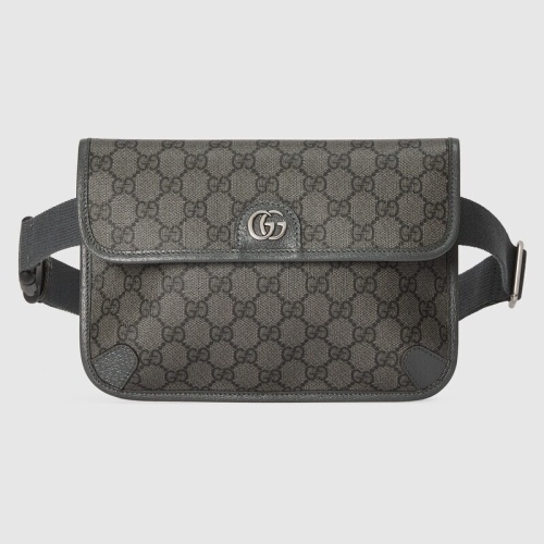 Gucci AAA Quality Belt Bags For Unisex #1102200