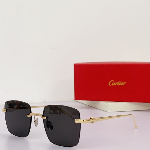 Cartier AAA Quality Sunglassess #1124626