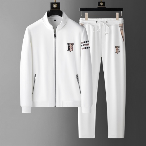 Burberry Tracksuits Long Sleeved For Men #1130263