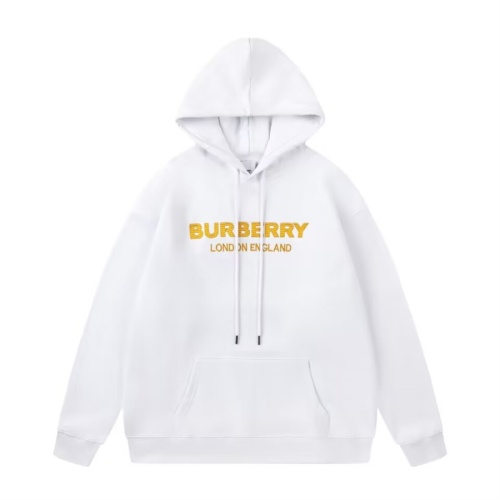 Burberry Hoodies Long Sleeved For Unisex #1135599