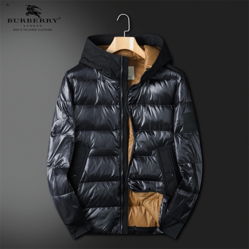 Burberry Down Feather Coat Long Sleeved For Men #1147663 $132.00 USD, Wholesale Replica Burberry Down Feather Coat
