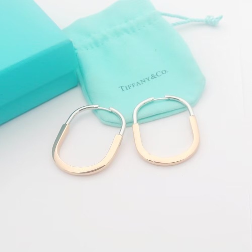 Tiffany Earrings For Women #1154010