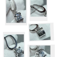$40.00 USD Cartier Earrings For Women #1144725