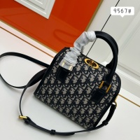 $102.00 USD Christian Dior AAA Quality Handbags For Women #1149314