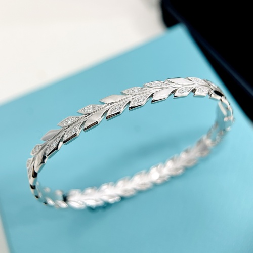 Tiffany Bracelets #1161462