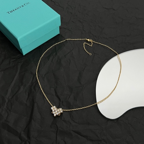 Tiffany Necklaces For Women #1170857