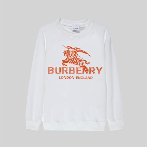 Burberry Hoodies Long Sleeved For Men #1175104