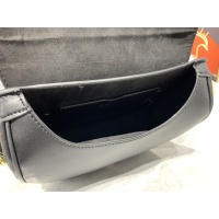 $88.00 USD Christian Dior AAA Quality Messenger Bags For Women #1175361