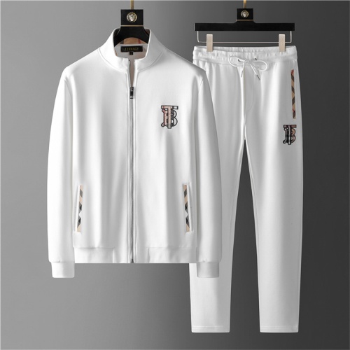 Burberry Tracksuits Long Sleeved For Men #1187880