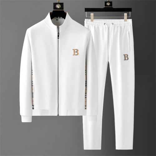 Burberry Tracksuits Long Sleeved For Men #1187936