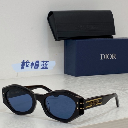 Christian Dior AAA Quality Sunglasses #1188358 $48.00 USD, Wholesale Replica Christian Dior AAA Quality Sunglasses