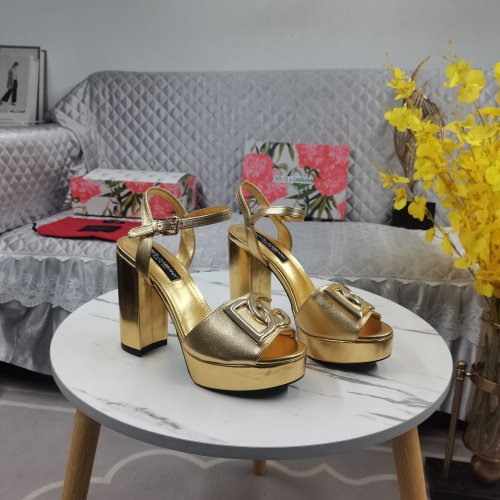 Dolce &amp; Gabbana D&amp;G Sandal For Women #1198484 $145.00 USD, Wholesale Replica Dolce &amp; Gabbana D&amp;G Sandal