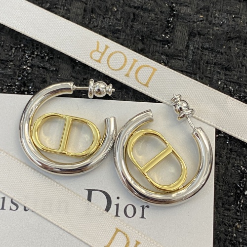 Christian Dior Earrings For Women #1215389