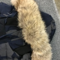 $180.00 USD Canada Goose Down Feather Coat Long Sleeved For Women #1242295