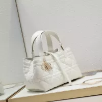 $85.00 USD Christian Dior AAA Quality Handbags For Women #1271922