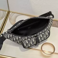 $88.00 USD Christian Dior AAA Quality Belt Bags #1271945