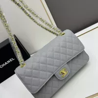 $100.00 USD Chanel AAA Quality Shoulder Bags For Women #1274891