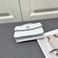 $82.00 USD Chanel AAA Quality Messenger Bags For Women #1289602