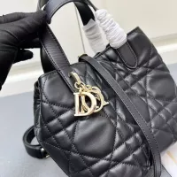 $102.00 USD Christian Dior AAA Quality Handbags For Women #1289645