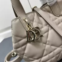 $102.00 USD Christian Dior AAA Quality Handbags For Women #1289650