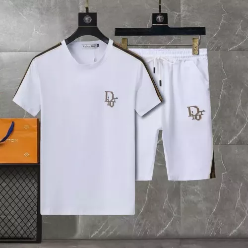 Christian Dior Tracksuits Short Sleeved For Men #1307124