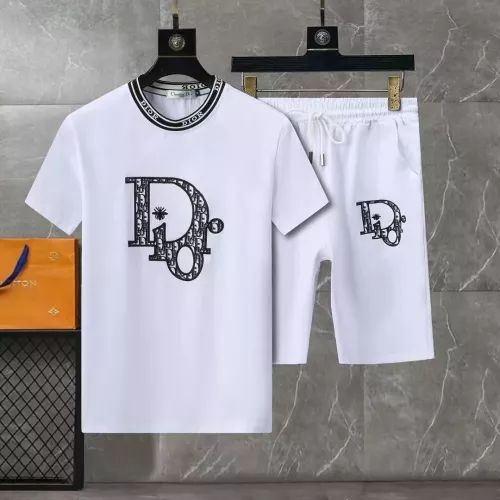 Christian Dior Tracksuits Short Sleeved For Men #1307127