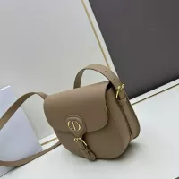 $102.00 USD Christian Dior AAA Quality Messenger Bags For Women #1299542