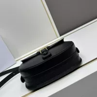 $102.00 USD Christian Dior AAA Quality Messenger Bags For Women #1299543