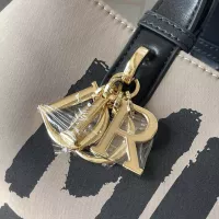 $100.00 USD Christian Dior AAA Quality Handbags For Women #1299993