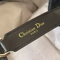 $100.00 USD Christian Dior AAA Quality Handbags For Women #1299994