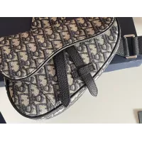 $128.00 USD Christian Dior AAA Man Messenger Bags #1300218