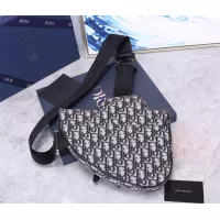 $128.00 USD Christian Dior AAA Man Messenger Bags #1300220