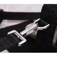 $128.00 USD Christian Dior AAA Man Messenger Bags #1300417