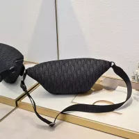 $96.00 USD Christian Dior AAA Quality Belt Bags #1301011