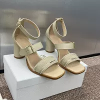 $115.00 USD Christian Dior Sandal For Women #1305945
