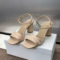 $102.00 USD Christian Dior Sandal For Women #1305962