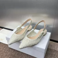 $100.00 USD Christian Dior Sandal For Women #1305968
