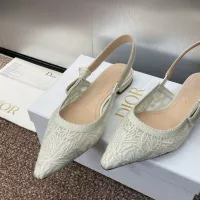 $100.00 USD Christian Dior Sandal For Women #1305968