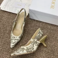 $100.00 USD Christian Dior Sandal For Women #1305976