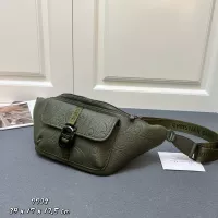 $102.00 USD Christian Dior AAA Quality Belt Bags For Unisex #1307064