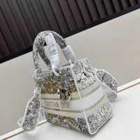 $122.00 USD Christian Dior AAA Quality Handbags For Women #1307075