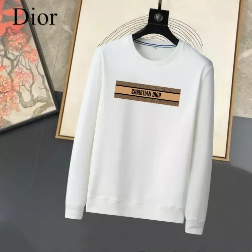 Christian Dior Hoodies Long Sleeved For Men #1315415