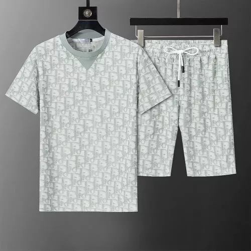 Christian Dior Tracksuits Short Sleeved For Men #1315578