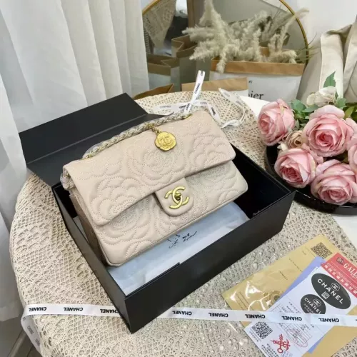 Chanel Messenger Bags For Women #1319734