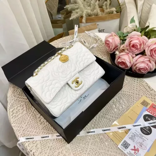 Chanel Messenger Bags For Women #1319735