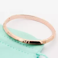 $34.00 USD Tiffany Bracelets #1311972