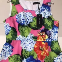 $98.00 USD Dolce & Gabbana Dresses Sleeveless For Women #1318639