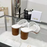 $92.00 USD Christian Dior Slippers For Women #1319973